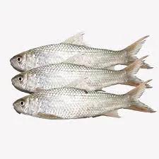 Bata Fish Fish Frozen 500g Cleaned Bata Fish Fish Frozen 500g Cleaned