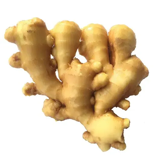 Fresh Ginger / Ada 500g