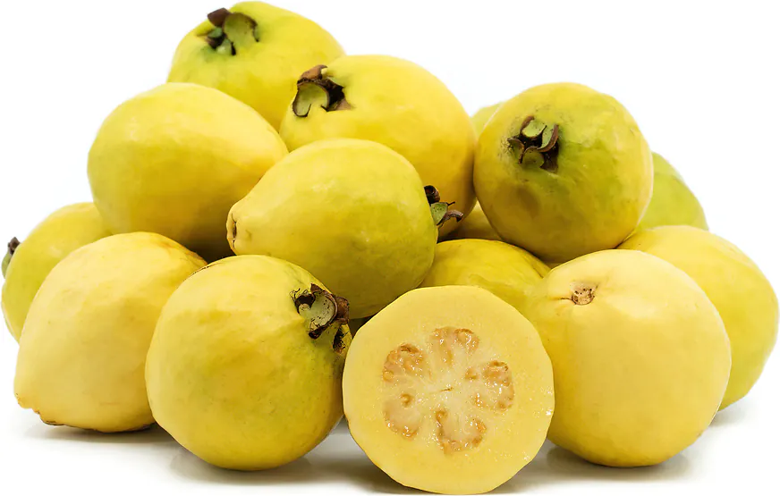 Fresh Ripe Guava / Peyara 1Kg (Paka)