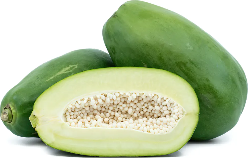 Fresh Green Papaya / Pepe 1Pc (400-500g)