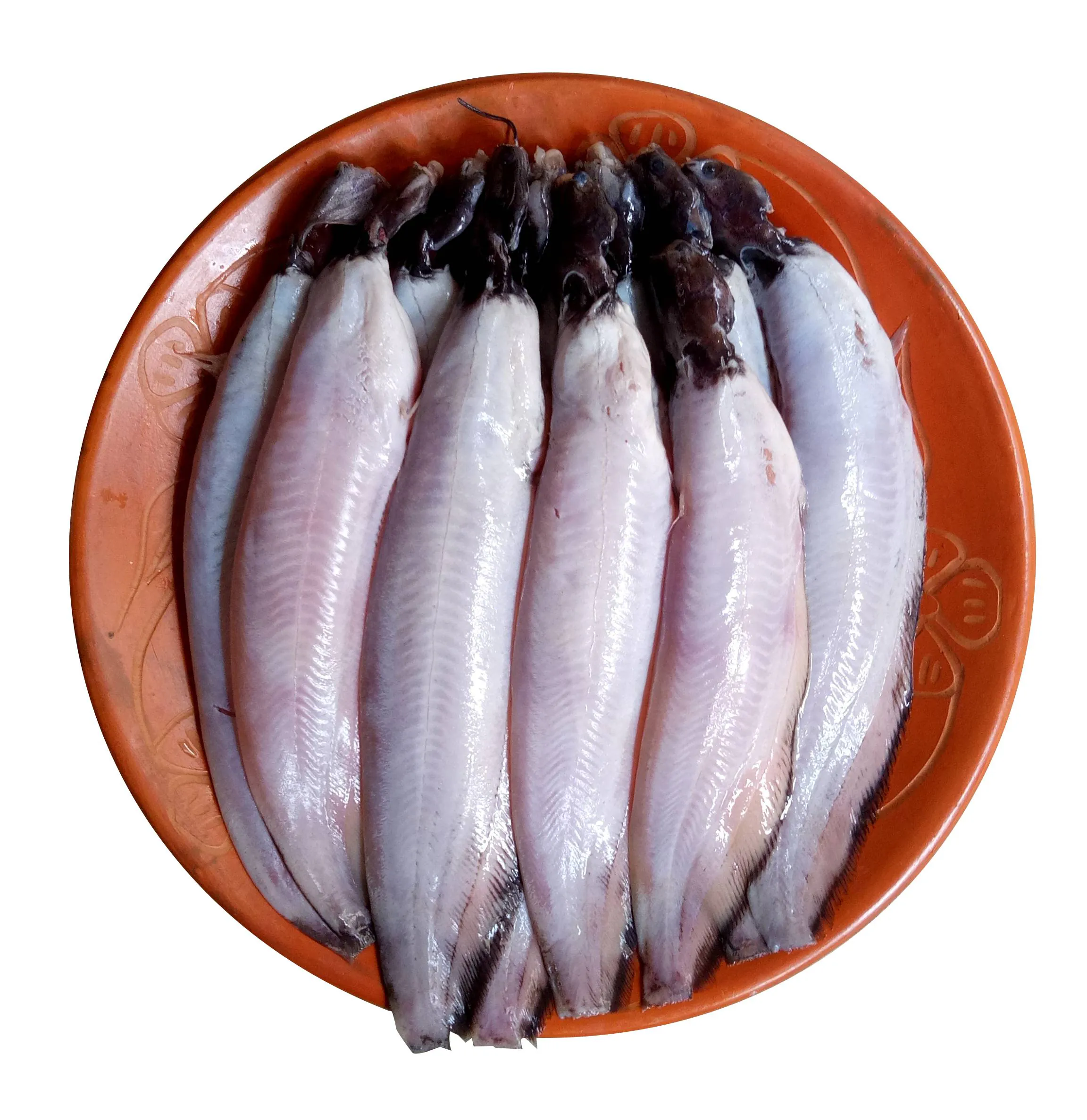 Shing Fish [Stinging Catfish] (500g)
