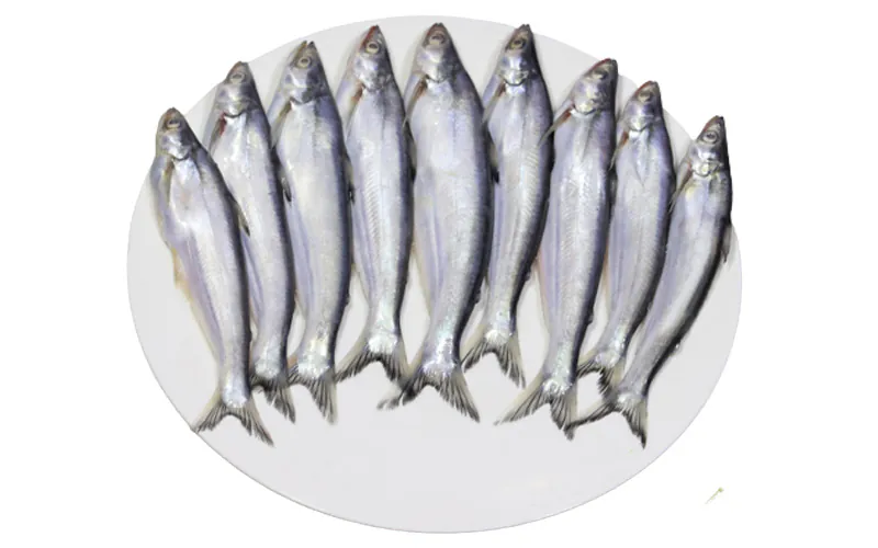 Bacha Fish Cleaned (700g) Package Forzen Bacha Fish Cleaned (700g) Package Forzen