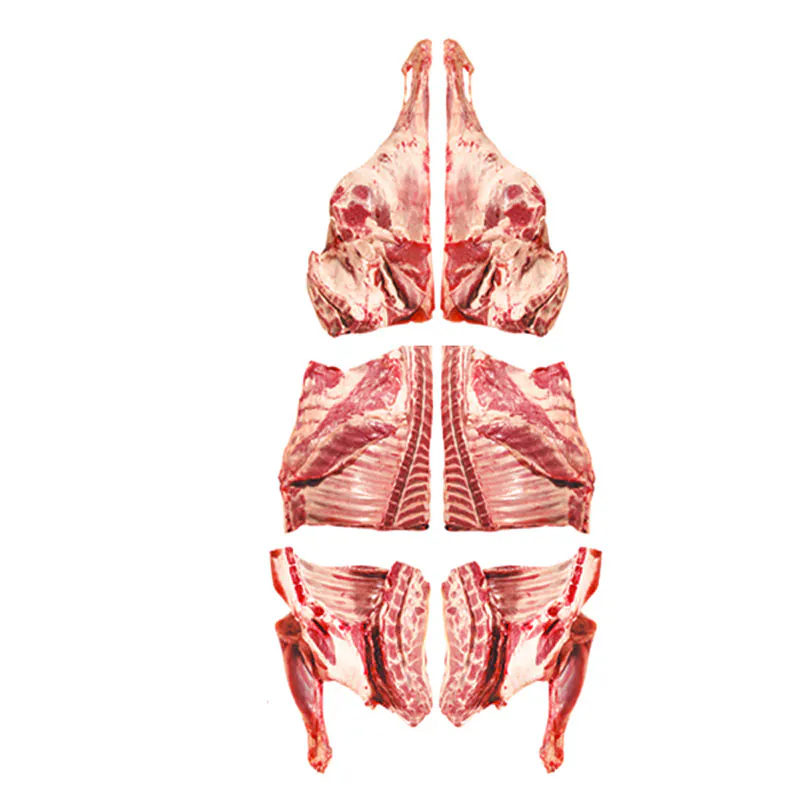 Mutton Carcass  Whole Lamb Cut [6 Pieces]