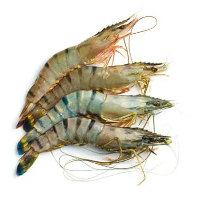 Shrimp / Chingri 800g Frozen Super Save Shrimp / Chingri 800g Frozen Super Save