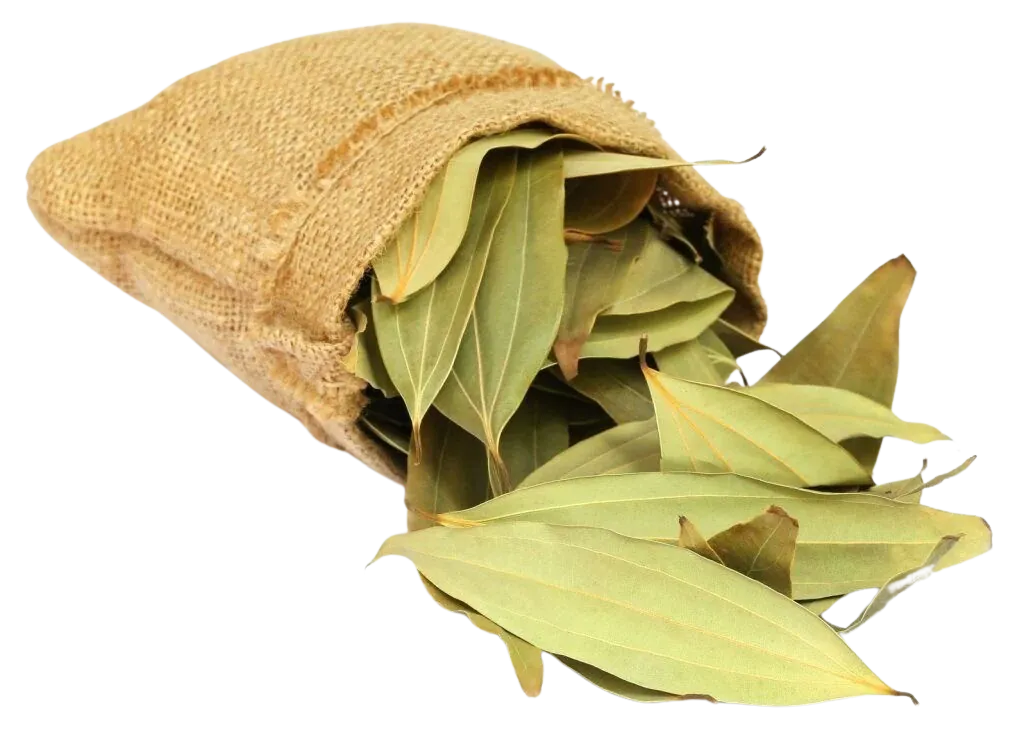 Dry Bay Leaves (Tej Pata) (50g) 乾燥ベイリーフ