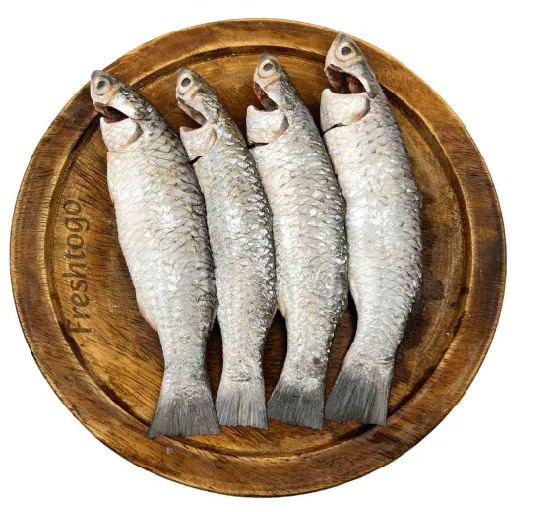 Nola Fish Forzen (Cleaned) 500g Nola Fish Forzen (Cleaned) 500g