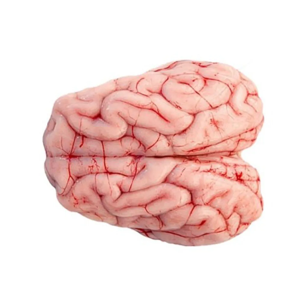 Sheep /Mutton Brain (Mogoz) 1.3-1.5Kg Sheep /Mutton Brain (Mogoz) 1.3-1.5Kg