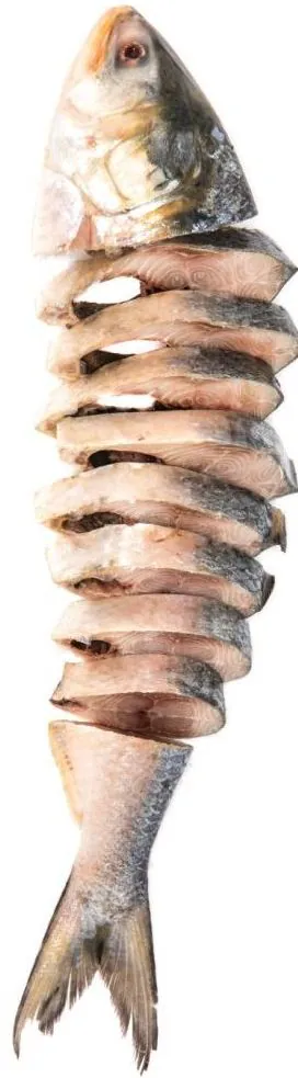 Hilsha whole cut 1.2 -1.4 kg Hilsha whole cut 1.2 -1.4 kg