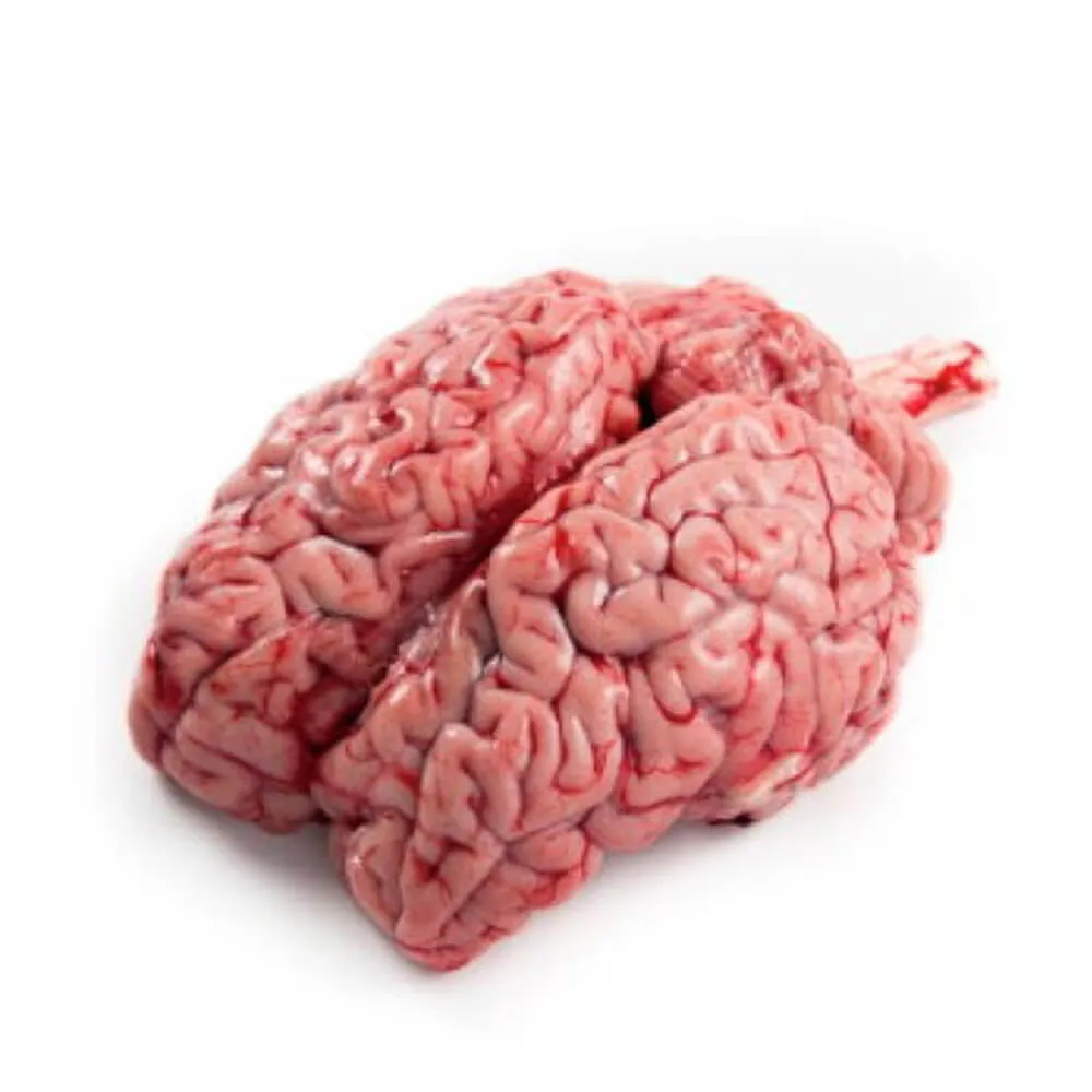 Fresh Beef Brain / গরুর মগজ 330g-400g Fresh Beef Brain / গরুর মগজ 330g-400g