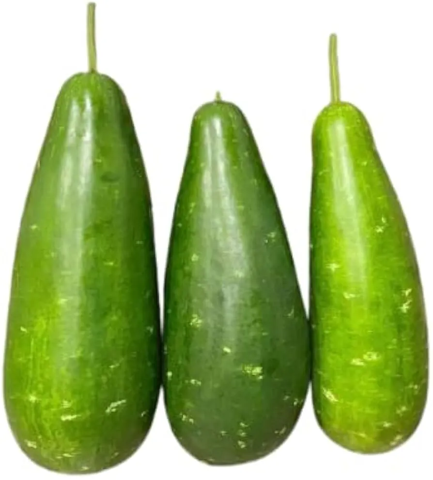 Fresh Lau / Gourd (Lauki) (1.5kg-1.8Kg ) ゴルド