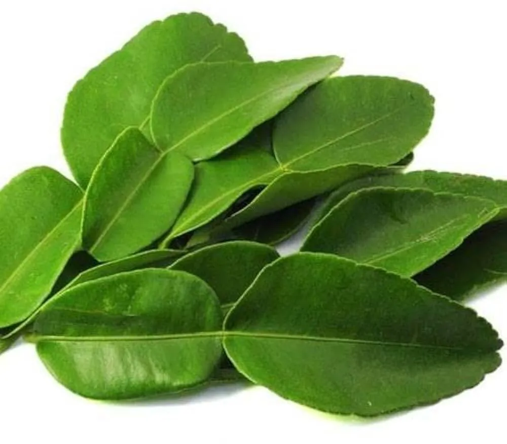 Lime Leaf / Lemon 20g (Frozen)