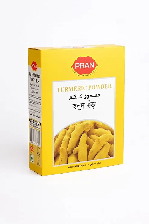 Turmeric Powder Pran (400g)
