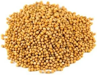 Mustard Seed Yellow /Sorisar dana (100g) Mustard Seed Yellow /Sorisar dana (100g)