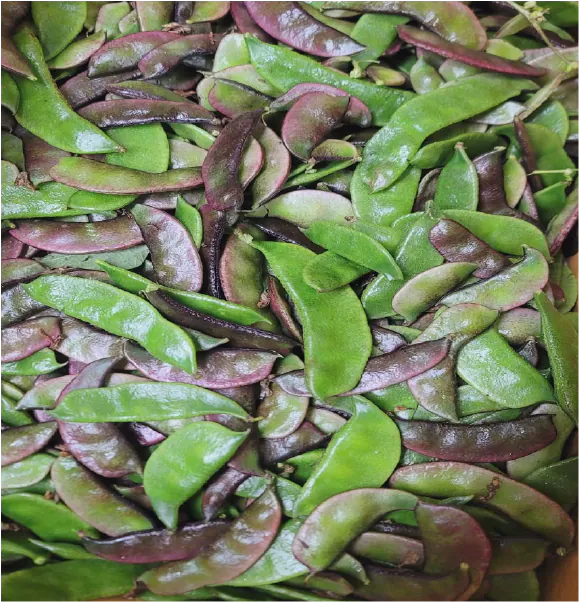 Fresh Seem / Sheem 500g