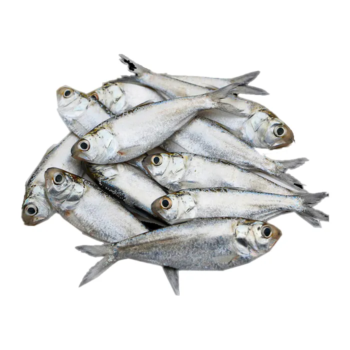 Chapila Fish Cleaned 250g BD Chapila Fish Cleaned 250g BD