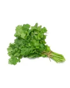Donia Pata / Coriander Leaves/ Doina 100g (Fresh)
