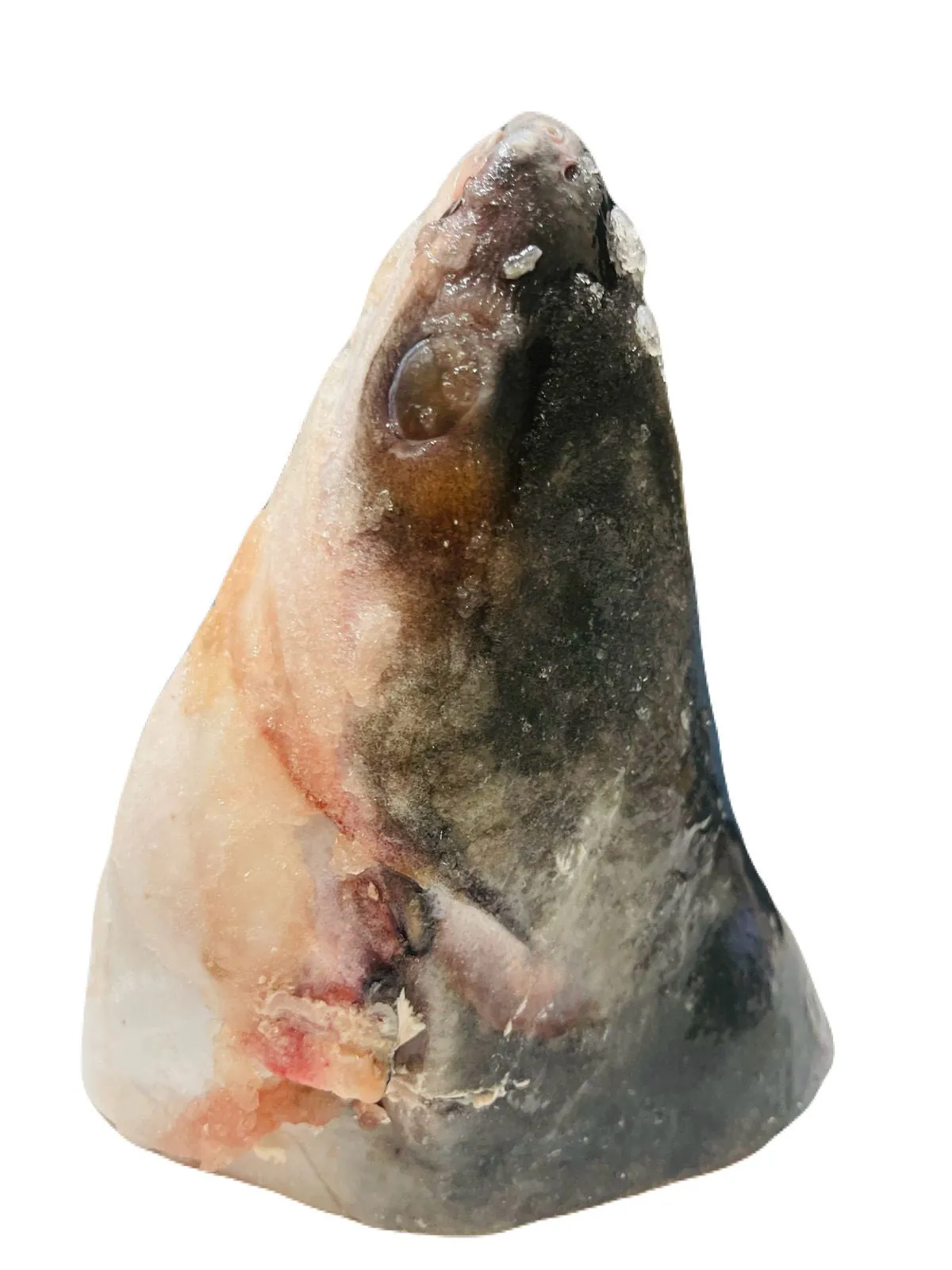 Pangash Head Whole 1 Pc ( 800g -1kg) Pangash Head Whole 1 Pc ( 800g -1kg)
