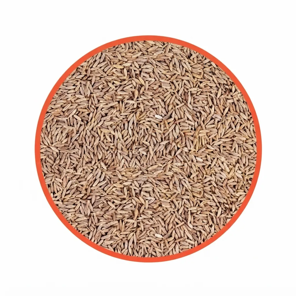 Ambika Cumin Whole (500g)