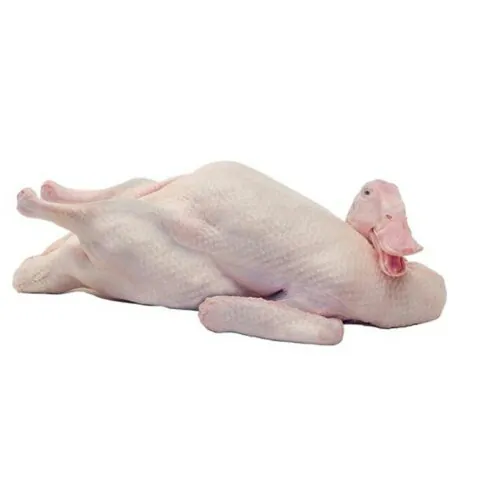 Duck With Head ( 2kg+) Duck With Head ( 2kg+)