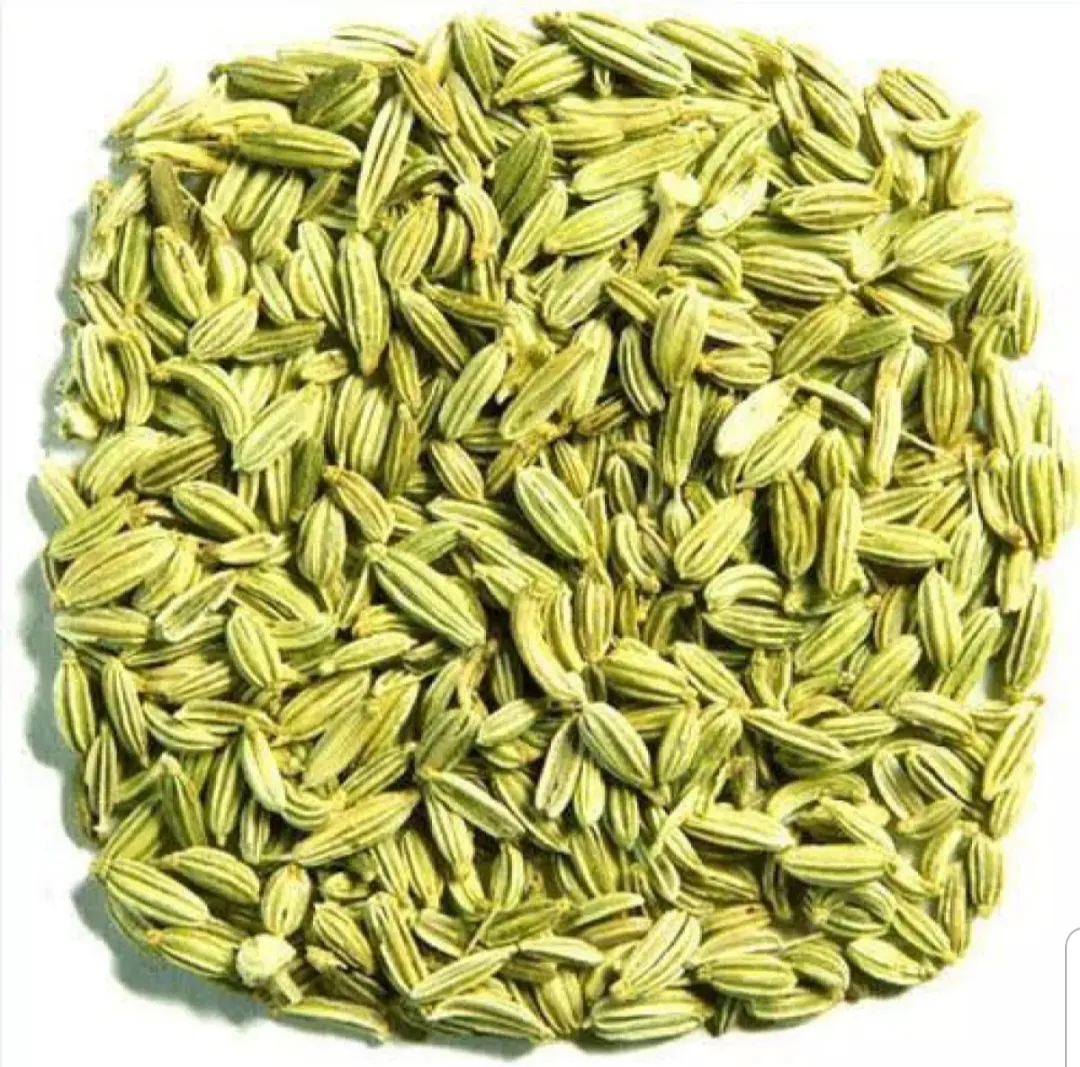 Fennel Seed /Mouri / Misti Jeera /Saunf 100g Fennel Seed /Mouri / Misti Jeera /Saunf 100g