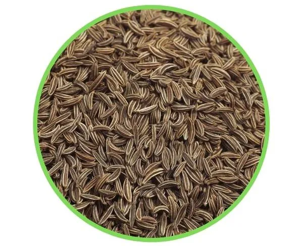Caraway Seed (500g)