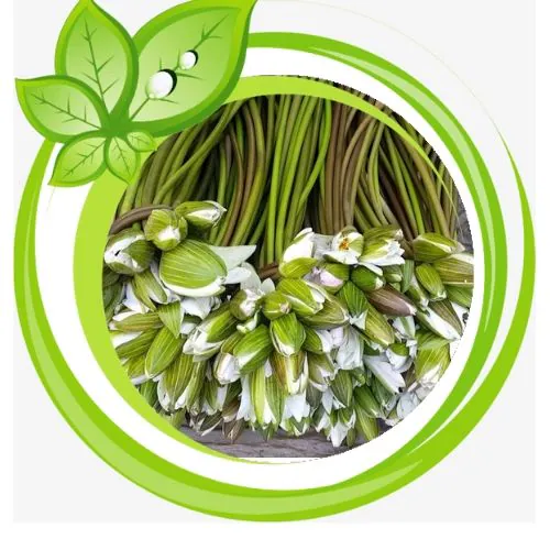 Fresh Water Lily /Sapla 500gm