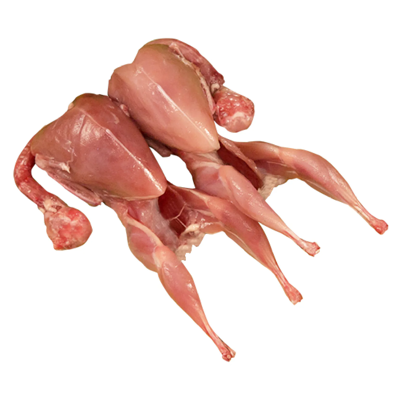 Local Chicken Whole Without Skin 12 Pc (9.6-10.6 Kg) Local Chicken Whole Without Skin 12 Pc (9.6-10.6 Kg)