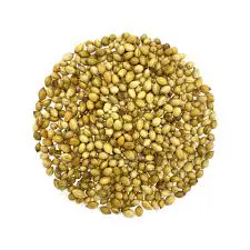 Organic Coriander/ Dhania Whole (100g) Organic Coriander/ Dhania Whole (100g)