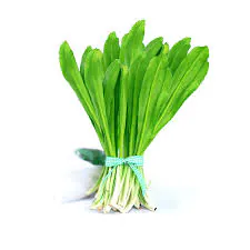Bileti Dhone Pata / Long Coriander Leaf (Frozen)