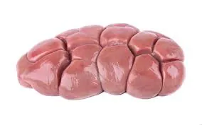 Beef Kidney 1 Kg (Australlia) Beef Kidney 1 Kg (Australlia)