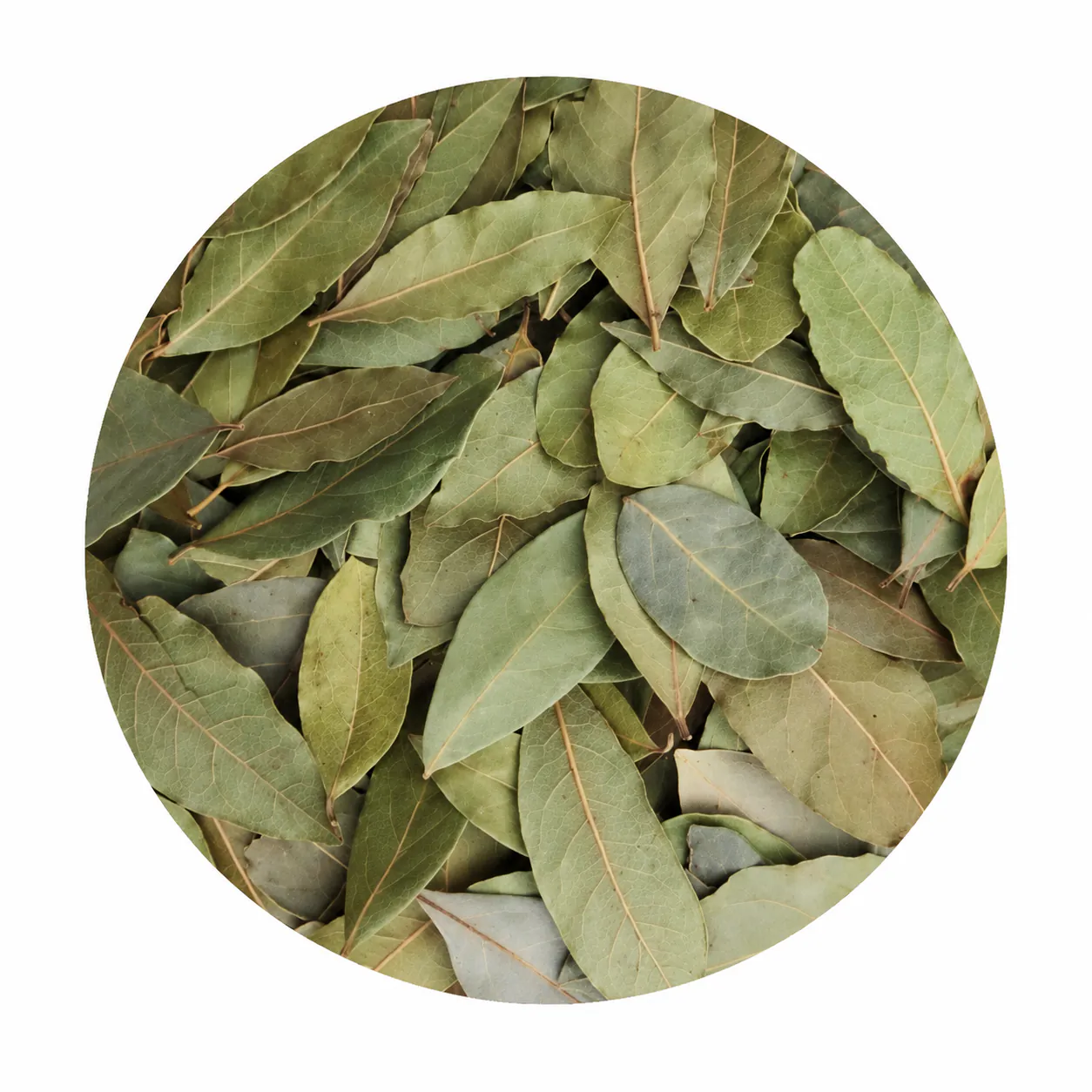 Dry Bay Leaves (Tej Pata) (100g) Dry Bay Leaves (Tej Pata) (100g)