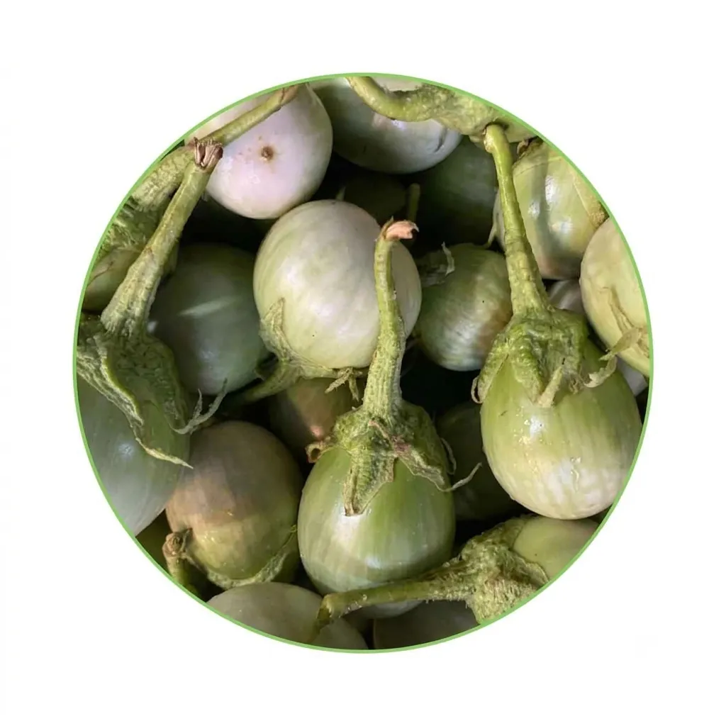 Fresh Eggplant (300g)