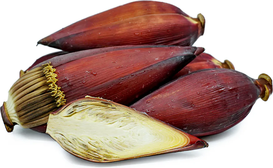 Fresh Banana Flower (600g-800g)