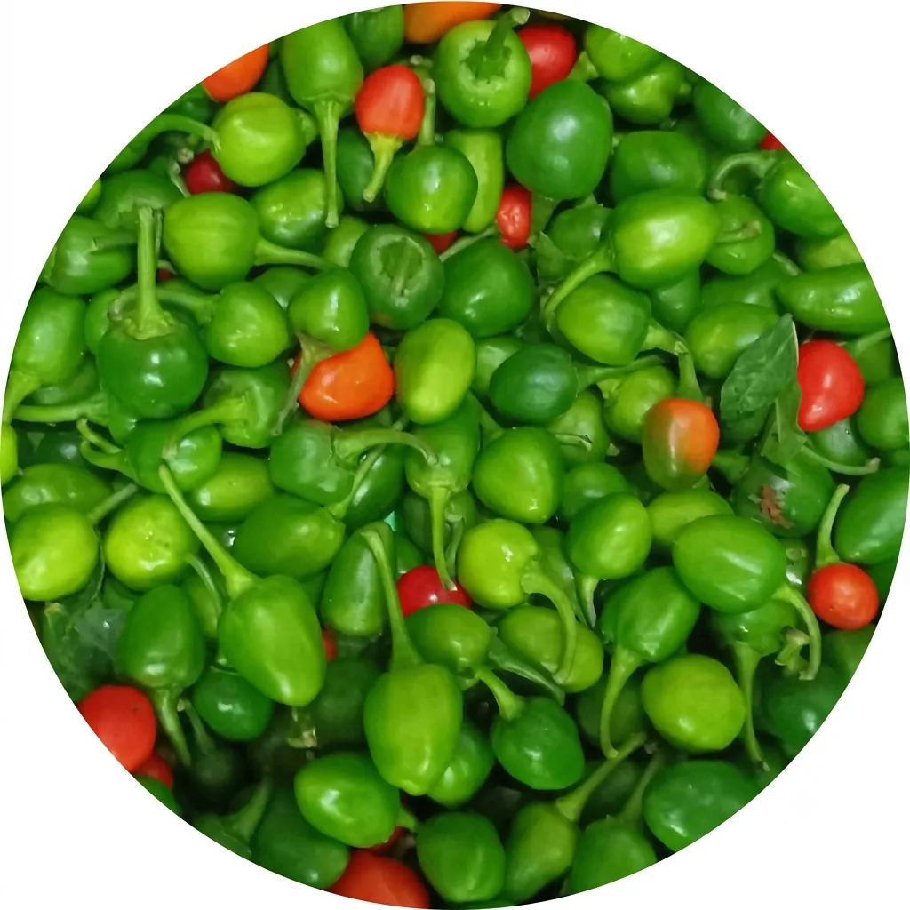Fresh Dalle/Akabare Khursani (Hot Chilli) (500g)