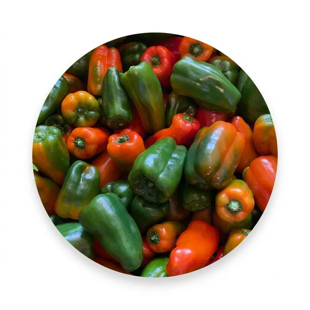 Fresh Piman (250g-300g)