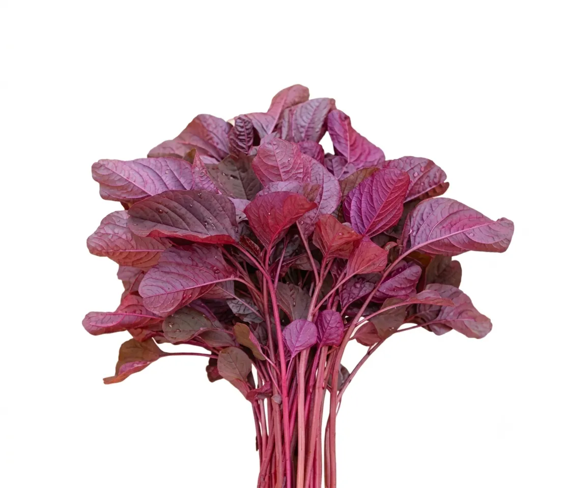 Fresh Red Spinach (লাল-শাক) (200g-250g)