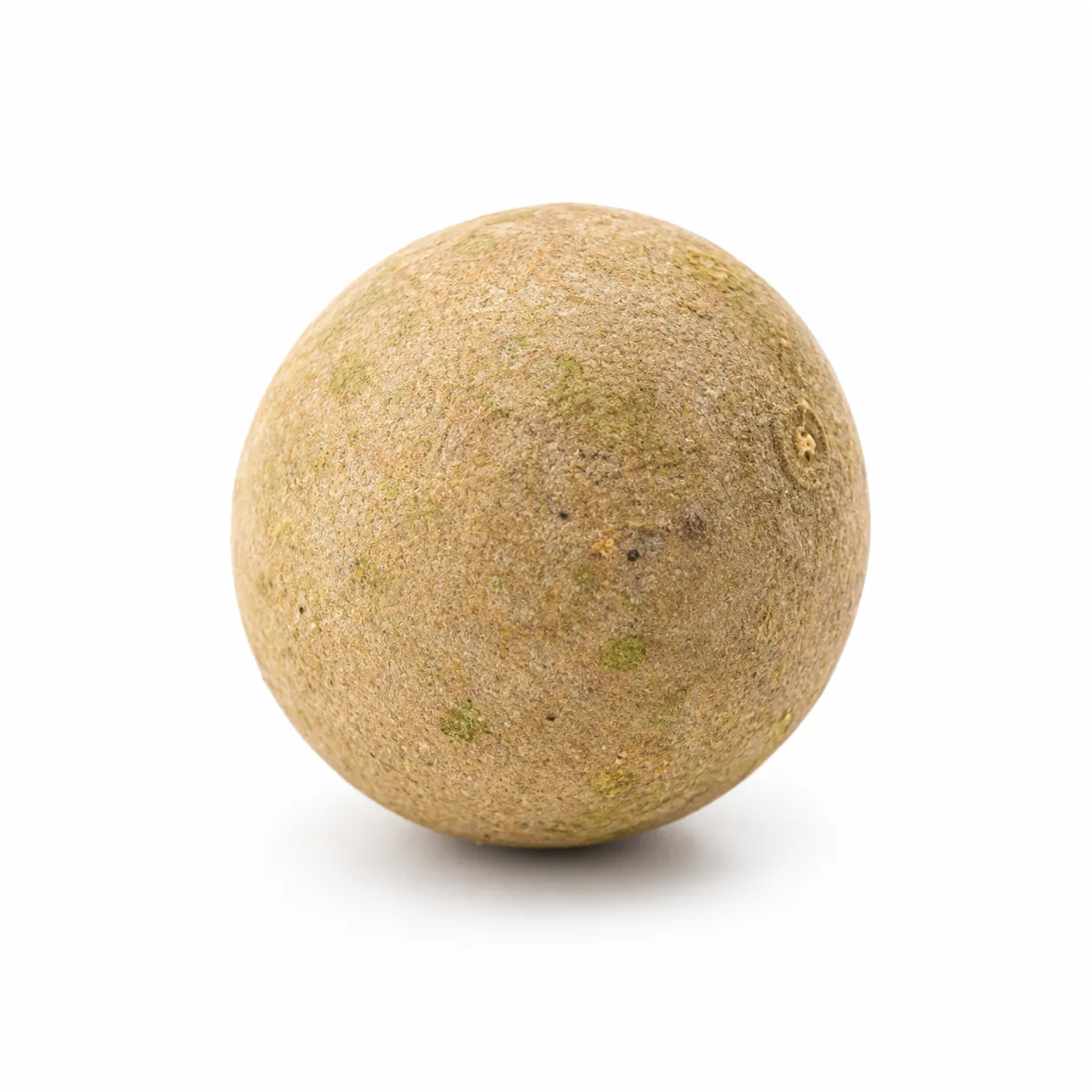 Fresh Wood Apple (Kodbel) 1pcs