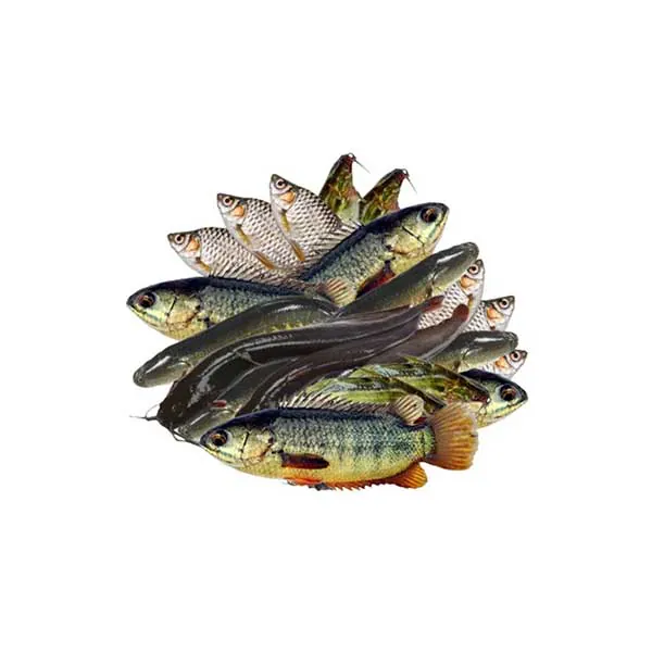 Mix Fish Frozen (Bangladesh) (300g) Mix Fish Frozen (Bangladesh) (300g)