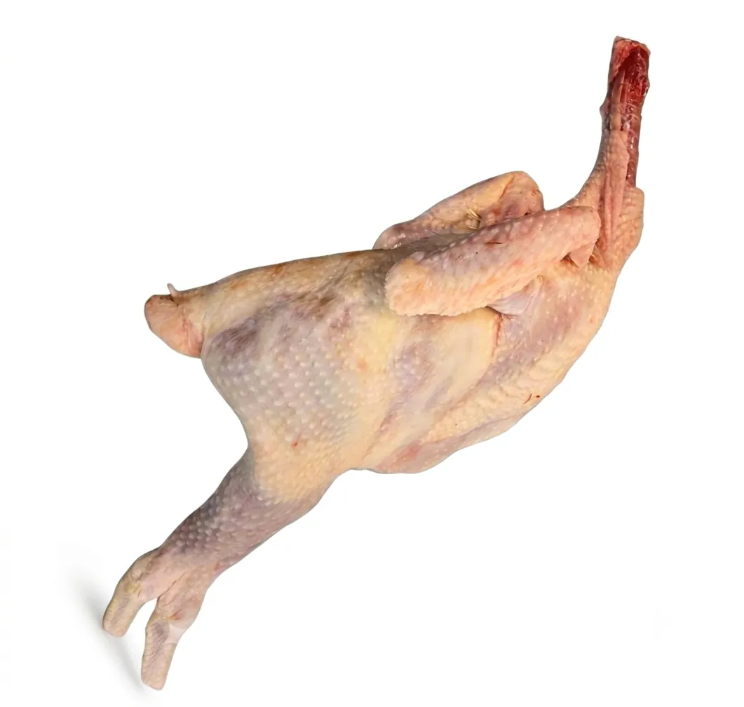 Fresh Hard Chicken Whole With Skin 1 Pc (850g-1100g +/-) Fresh Hard Chicken Whole With Skin 1 Pc (850g-1100g +/-)