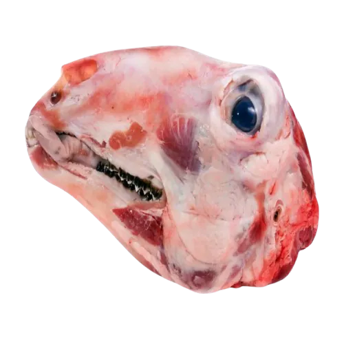 Mutton Head Whole (2.3kg ~2.6kg) Mutton Head Whole (2.3kg ~2.6kg)