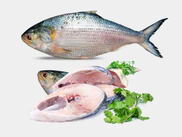 Fishes
