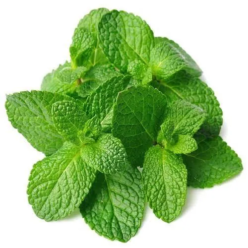 Fresh Mint (Pudina) Leaves (50g)