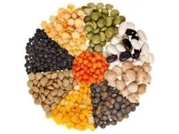 Beans & Lentil