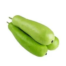 Fresh Lau / Gourd (Lauki) (1.5kg-1.8Kg ) ゴルド