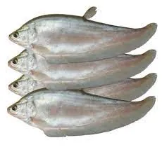 Foly Fish (Cleaned) 500g Foly Fish (Cleaned) 500g