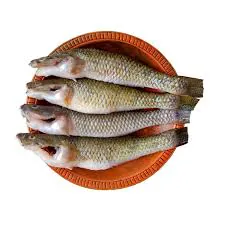 Baila Fish Frozen 500gm Baila Fish Frozen 500gm