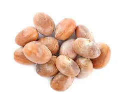Fresh Raw Jackfruit Seeds 500g(+/-)