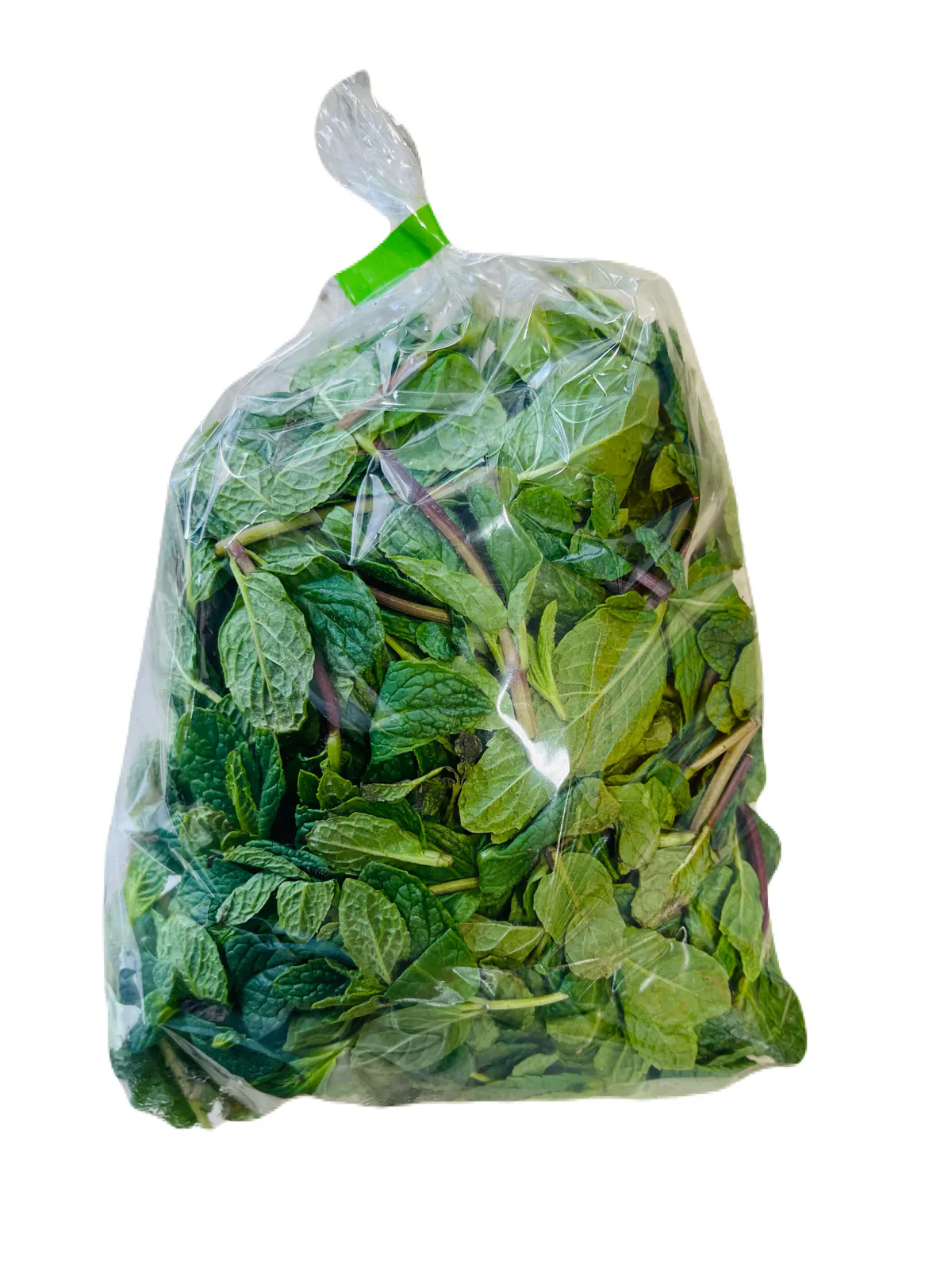 Fresh Mint Leaves / Pudina Pata 100g Fresh Mint Leaves / Pudina Pata 100g