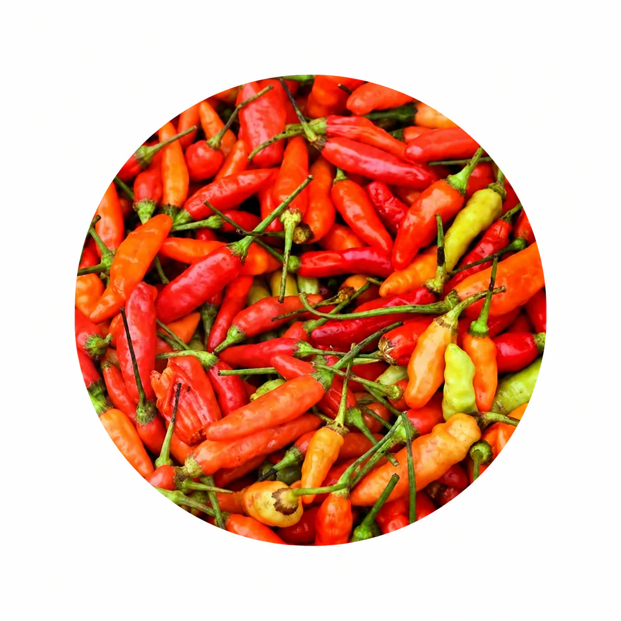 Ina Cabai Orange Super Beku (Super Red Chilli) (500g)