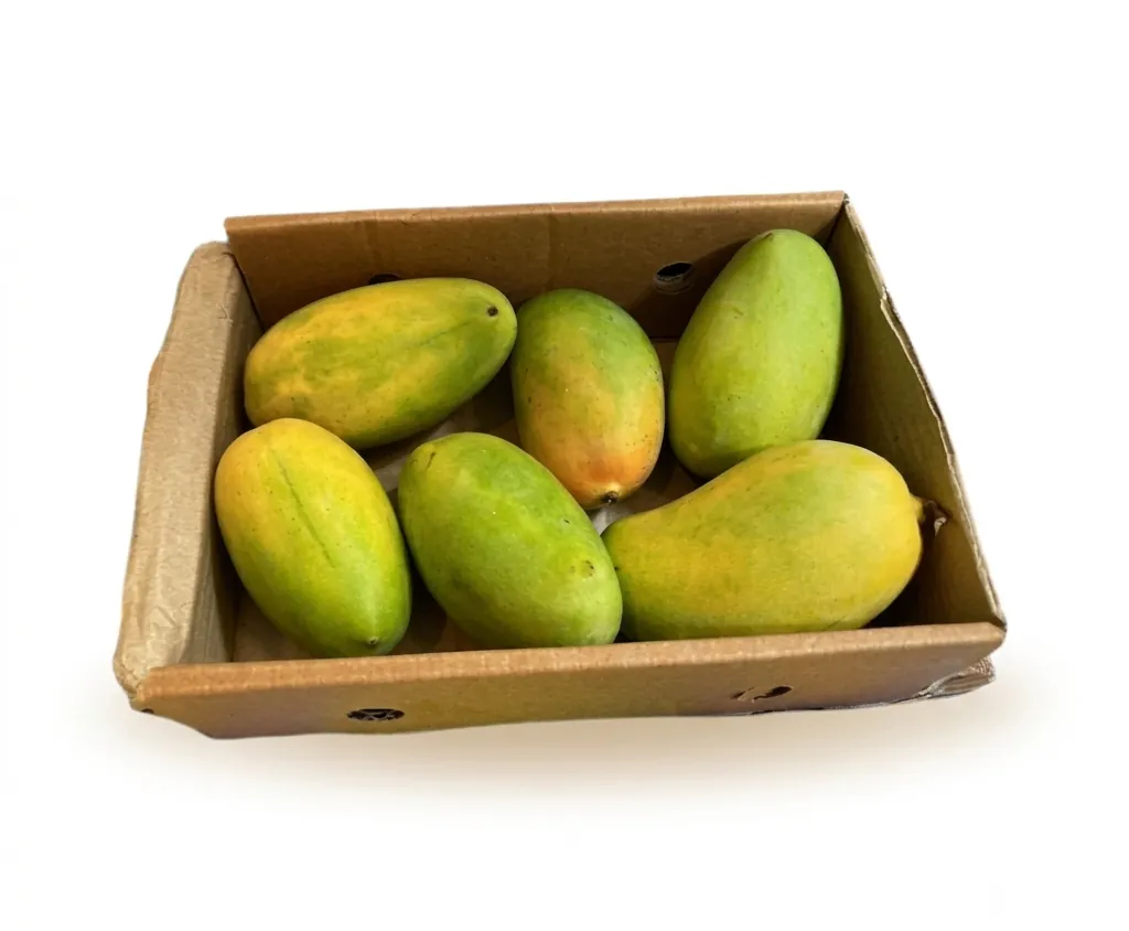 Indian Kesar Mango (1.3-1.5kg) 5-6pcs